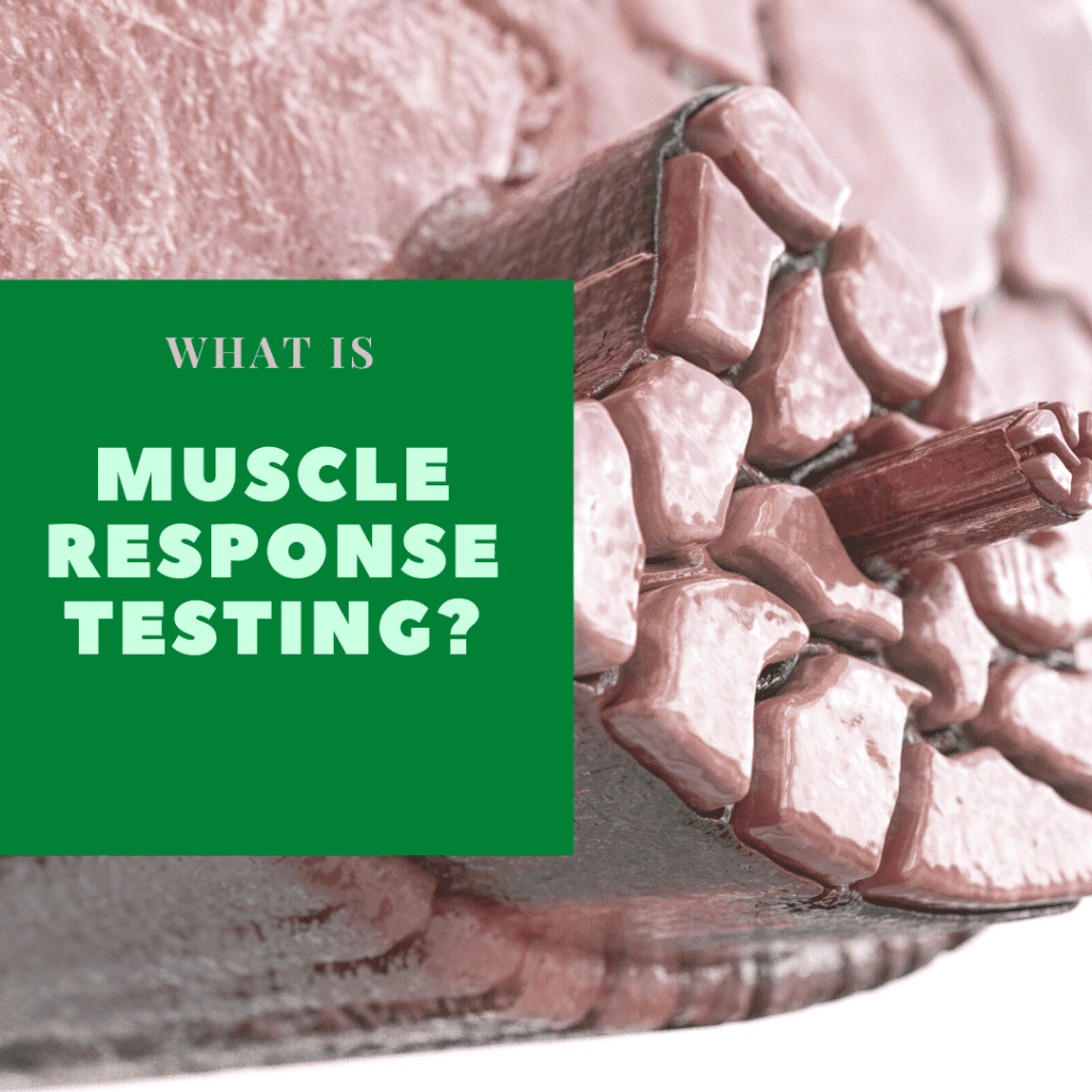 What is Muscle Response Testing